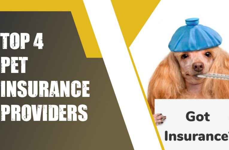 Top 4 Pet Insurance Providers in the UK