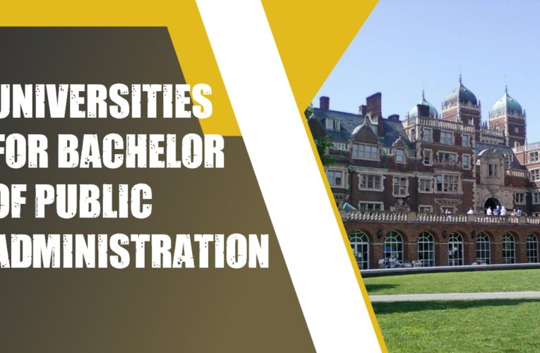 Top 4 Universities for Bachelor of Public Administration Students in the USA