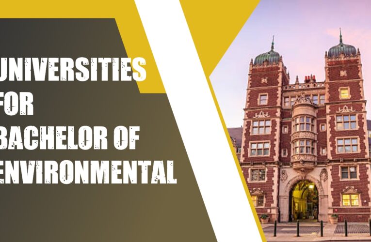 Top 4 Universities for Bachelor of Environmental Science Students in the UK