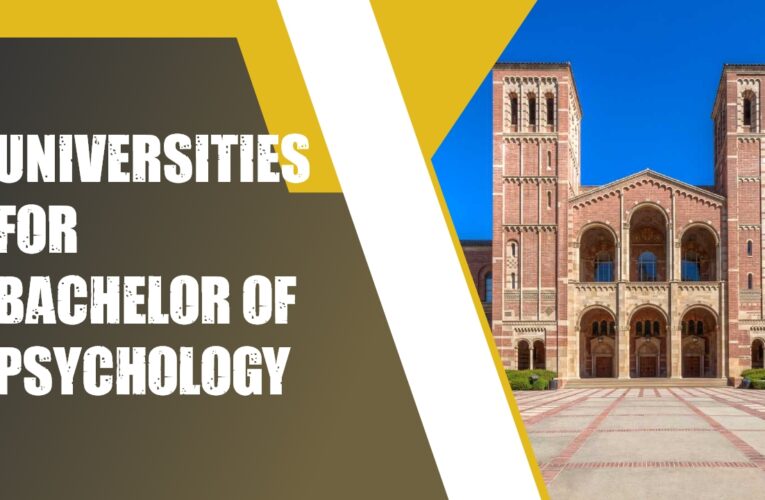 Top 4 Universities for Bachelor of Psychology Students in the USA